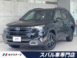 登録済未使用車 メーカーナビ マルチレインモニター ETC ルーフレール