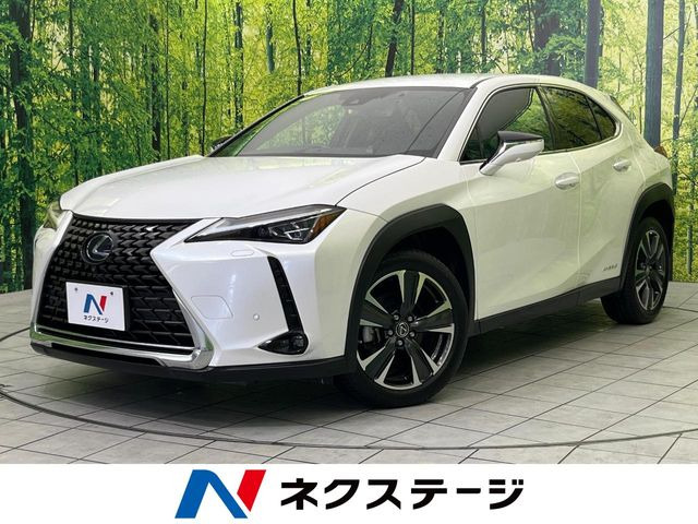 UX 250h バージョンL 