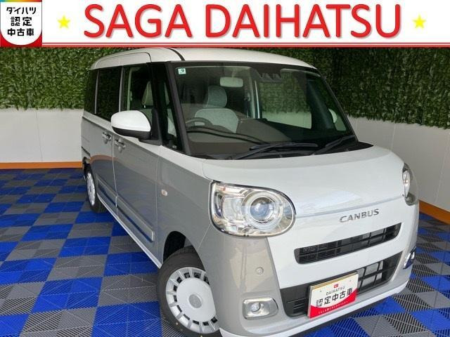 ムーヴキャンバス  ストライプス G