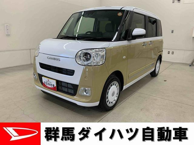 ムーヴキャンバス  ストライプス G