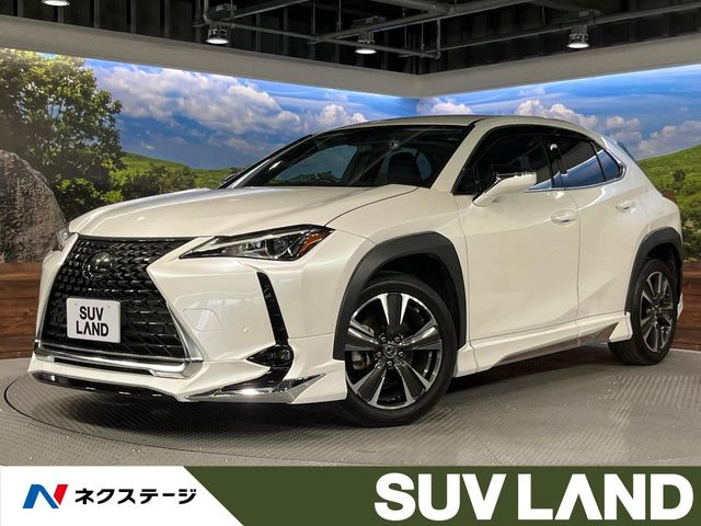 UX 200 バージョンC 