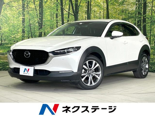 CX-30 2.0 X プロアクティブ ツーリングセレクション 
