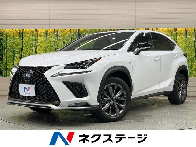 NX 300h Fスポーツ