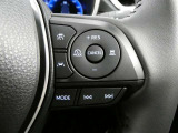 走行中に先行車の様子を検知しながら、設定した車速の範囲内で先行車との距離のキープを支援します。長距離運転中の渋滞なども快適に運転できます。