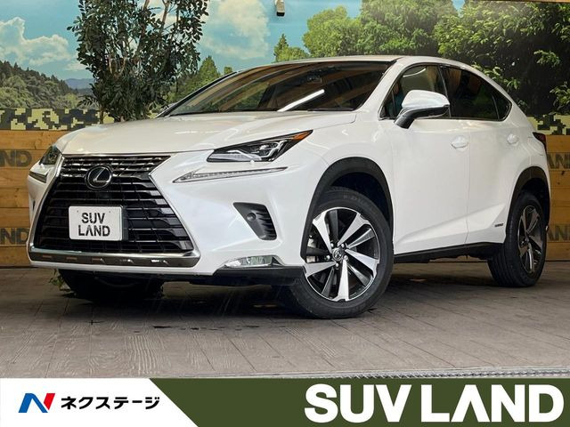 NX 300h Iパッケージ
