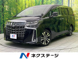 両側電動ドア 後席モニター バックカメラ 100V電源 レーダークルーズ