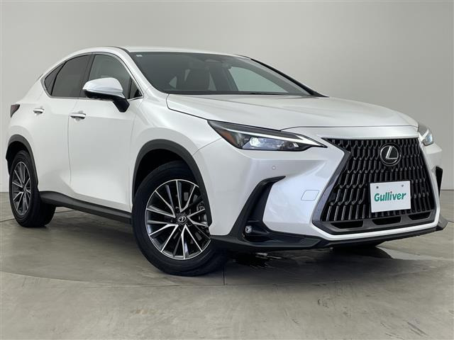 NX 250 修復歴無し