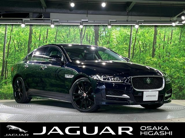 XE  XE R-スポーツ