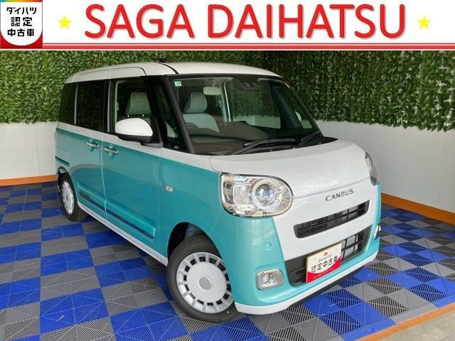 ムーヴキャンバス  ストライプス G