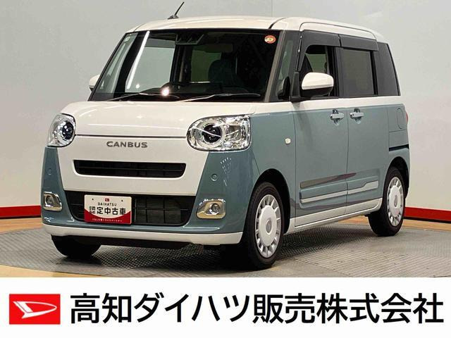 ムーヴキャンバス  ストライプス G