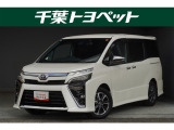 【メイン】 千葉・茨城・埼玉・東京・神奈川での登録、及びご来店いただける方への販売に限らせていただきます。