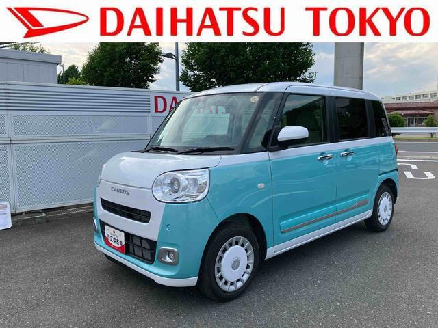 ムーヴキャンバス  ストライプス G