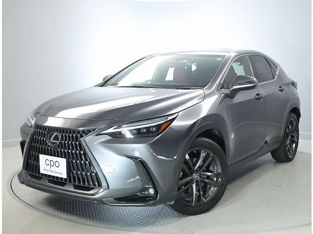 レクサス NX 250 バージョンL NX 250 バージョンL の中古車詳細