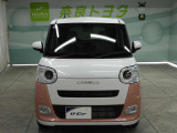 ムーヴキャンバス  ストライプス G