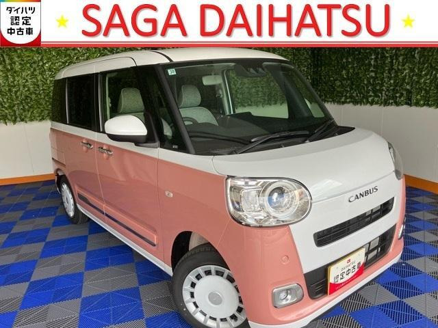 ムーヴキャンバス  ストライプス G
