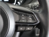 ◆アダプティブクルーズコントロール◆予め設定した車速内でクルマが自動的に加減速。前走車との適切な車間距離を維持しながら追従走行します。