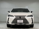 UX 250h グレイスフル エクスプローラー 