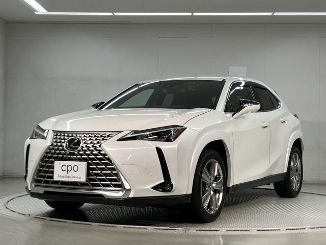 UX 250h グレイスフル エクスプローラー