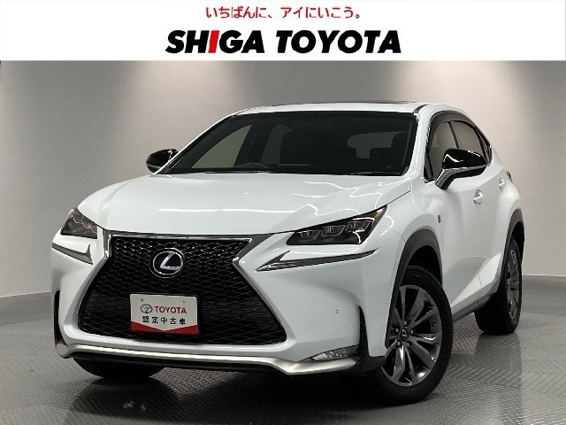 NX 300h Fスポーツ