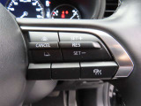 前車追従機能付きのレーダークルーズを備えています。自動で車間距離を調整してくれますので、アクセル操作の疲労軽減に繋がります。特に長距離を帰省される方にはお奨めですよ。
