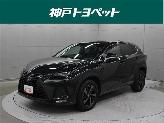 NX 300 ブロンズ エディション 