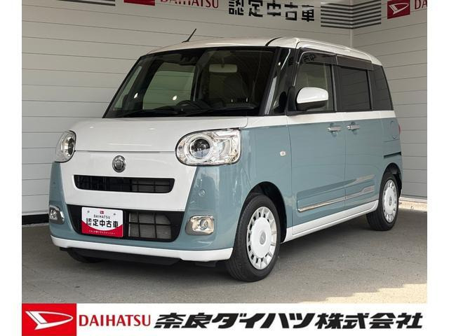 ムーヴキャンバス  ストライプス G