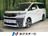 両側電動ドア BIG-X9型ナビ 後席モニター バックカメラ