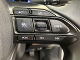 ステアリングスイッチ付き。前方から目を離すことなく操作することが可能です。