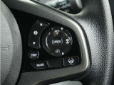 ◆アダプティブクルーズコントロール◆予め設定した車速内でクルマが自動的に加減速。前走車との適切な車間距離を維持しながら追従走行します。【LKAS】車線維持支援システムでステアリング操作を支援。