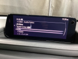 メーカーオプションTVチューナー付!