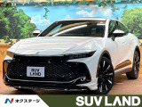 禁煙車 モデリスタエアロ 12型ディスプレイ 全周囲カメラ ETC