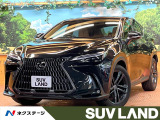 14型ディスプレイ フルセグ 全周囲カメラ 茶革 レーダークルーズ