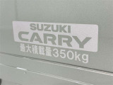 この量まで車に積載することができます。 沢山、積載できるので色んな使い方が出来ちゃいますね。