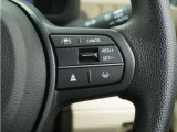 ◆アダプティブクルーズコントロール◆予め設定した車速内でクルマが自動的に加減速。前走車との適切な車間距離を維持しながら追従走行します。【LKAS】車線維持支援システムでステアリング操作を支援。