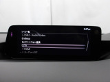 メーカーオプションTVチューナー付!