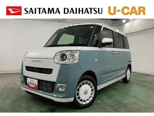 ムーヴキャンバス ストライプス G