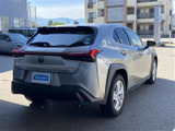 UX 250h 