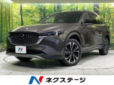 4WD ターボ 寒冷地仕様 純正10型ナビ 全周囲カメラ 衝突軽減