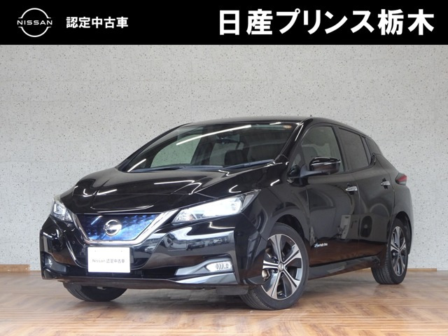 リーフ G