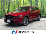 メーカーナビ BOSEサウンド 後席モニター 全周囲カメラ