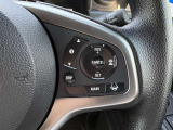 運転支援システムのスイッチになります。高速道路での運転も楽々です!