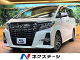 純正10型ナビ バックカメラ 両側電動ドア 電動リアゲート クルコン