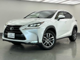 NX 300h Iパッケージ 