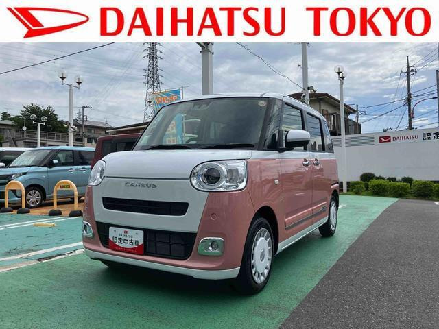 ムーヴキャンバス  ストライプス G