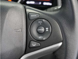 ◆アダプティブクルーズコントロール◆予め設定した車速内でクルマが自動的に加減速。前走車との適切な車間距離を維持しながら追従走行します。【LKAS】車線維持支援システムでステアリング操作を支援。