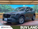 4WD 純正8型ナビ 全周囲カメラ ドラレコ ETC レーダークルーズ