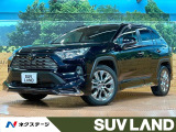 禁煙車 サンルーフ モデリスタエアロ 10型ディスプレイ 全周囲カメラ