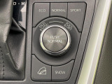 RAV4  アドベンチャー