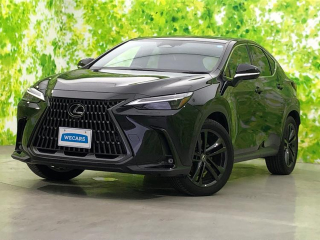 NX 350h バージョンL 
