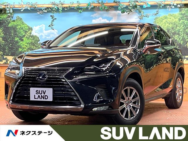 NX 300h Iパッケージ 